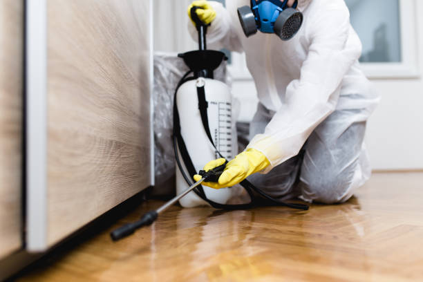 Trusted Mccormick, SC Pest Control Experts