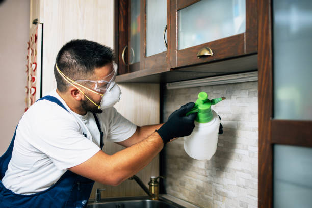 Best Pest Control for Homes  in Mccormick, SC
