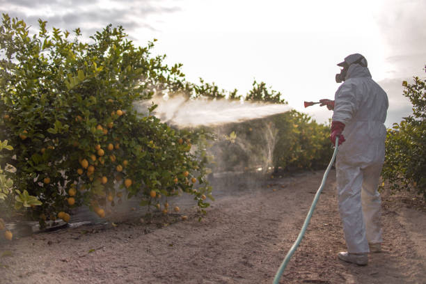 Best Cockroach Control Services  in Mccormick, SC