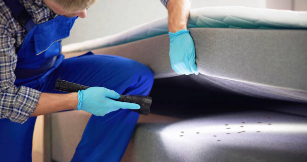 Best Flea Control Services  in Mccormick, SC