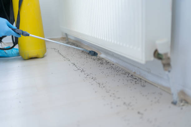 Best Wildlife Control Services  in Mccormick, SC