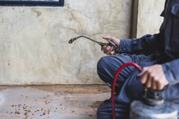 Best Exterminator Services  in Mccormick, SC