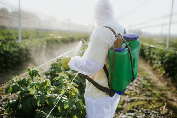 Best Pest Control Near Me  in Mccormick, SC